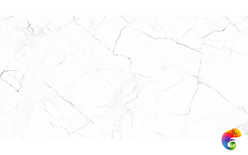 GT95VG Плитка облиц. Solo GT Бел. 50*25 _ 1 \74,25