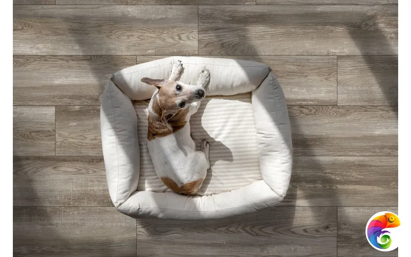 GT208022015MСR Керамогранит Bremen_GT Серо-беж. 19,8x80 _ 1\57,024