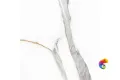 GT60605503PR Керамогранит Angel Statuario_GT Бел. 60x60 полир._ 1\48,96