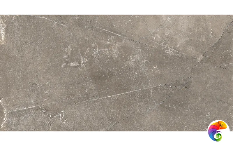 GT122VG Плитка облиц. Siluet GT Кор. 50*25 _ 1 \74,25