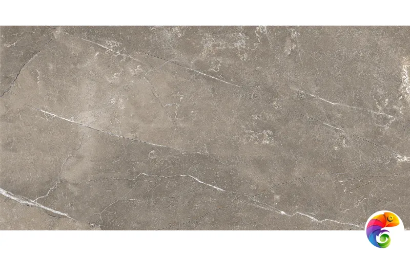 GT122VG Плитка облиц. Siluet GT Кор. 50*25 _ 1 \74,25