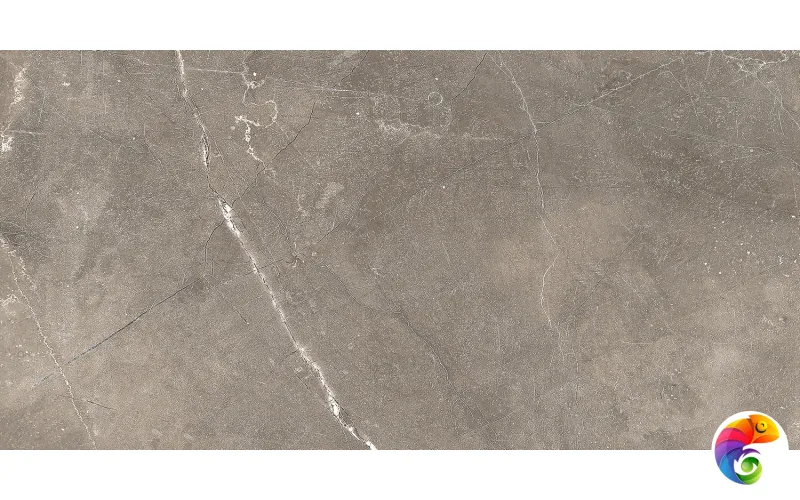 GT122VG Плитка облиц. Siluet GT Кор. 50*25 _ 1 \74,25