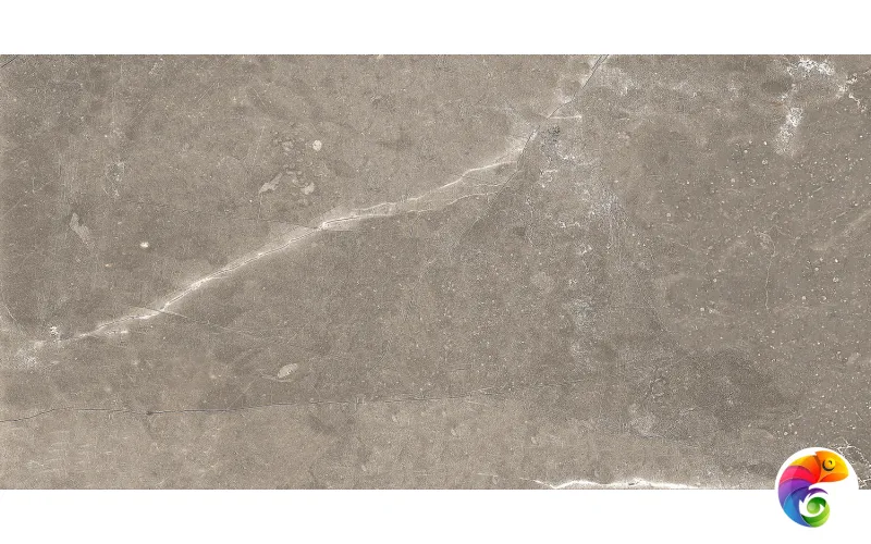 GT122VG Плитка облиц. Siluet GT Кор. 50*25 _ 1 \74,25