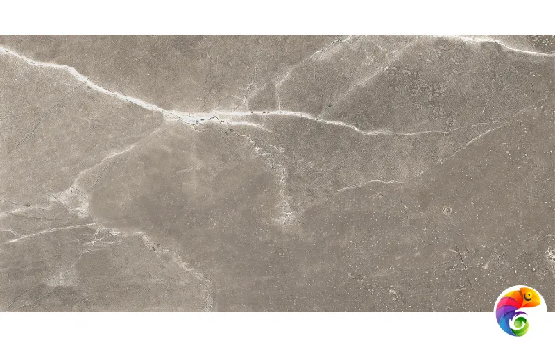 GT122VG Плитка облиц. Siluet GT Кор. 50*25 _ 1 \74,25