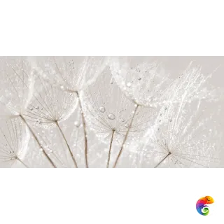 AV2L091DT-36 Декор кер. Avangarde_Cers Сер. 59,8*29,81 \6