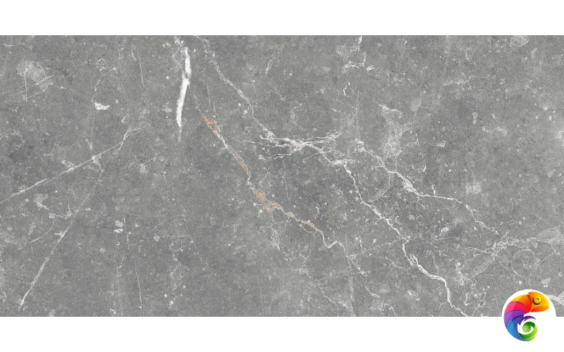 GT99VG Плитка облиц. Capella GT Сер. 50*25 _ 1 \74,25