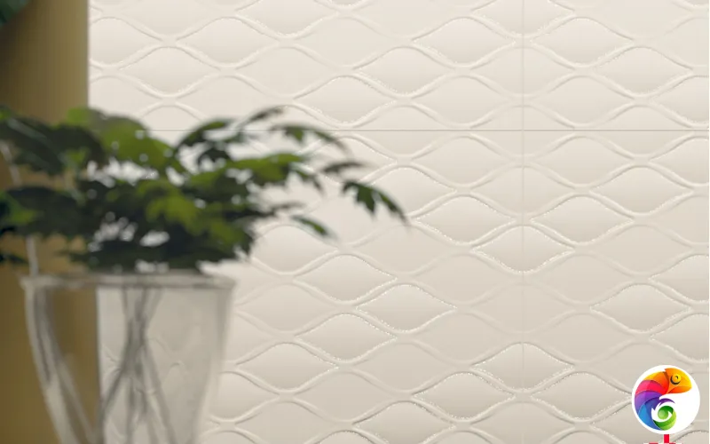 Коллекция 4D MARCA CORONA