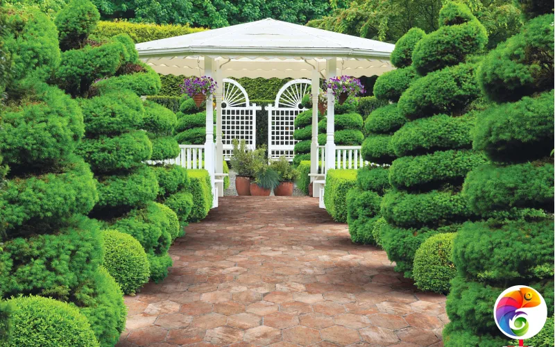 Коллекция CHICAGO SERENISSIMA CIR