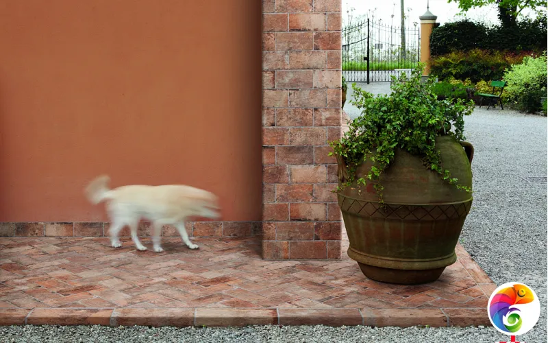 Коллекция CHICAGO SERENISSIMA CIR