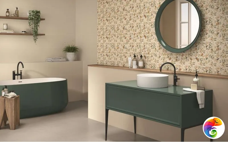 Коллекция COLORFUL APE S.L.U.