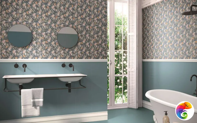 Коллекция COLORFUL APE S.L.U.