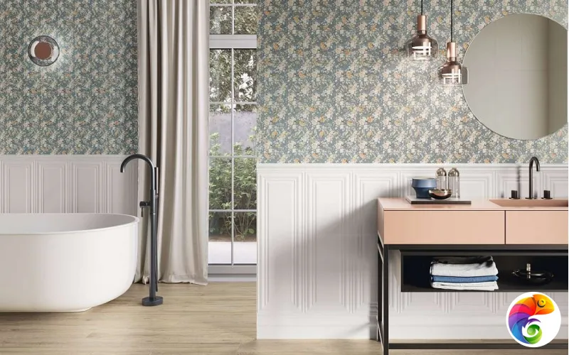 Коллекция COLORFUL APE S.L.U.