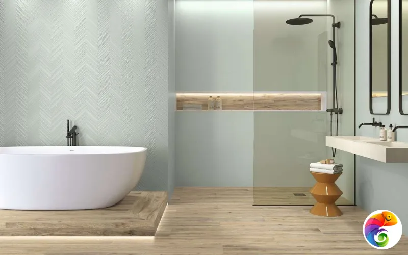 Коллекция COLORFUL APE S.L.U.