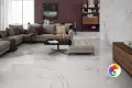 Коллекция FENIX PAMESA