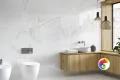 Коллекция FENIX PAMESA