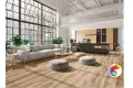 Коллекция HOLLYWOOD LA FENICE