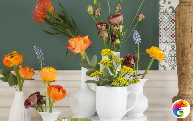 Коллекция JOLIE MARCA CORONA