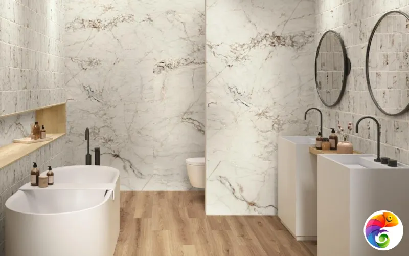 Коллекция OXYD JEWEL APE S.L.U.