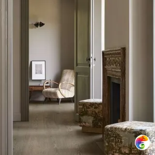 VIVO RAGNO