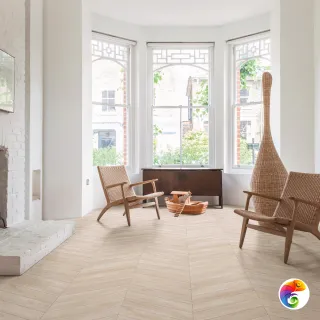 WOODCHOICE RAGNO