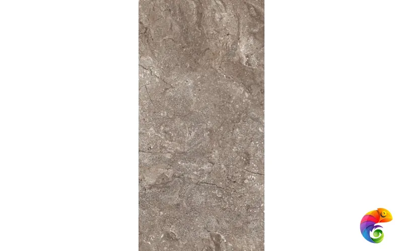 6405 Stone Grey Polished 60x120 (46,08)