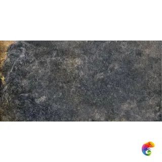 Iconic Oxido 60x120