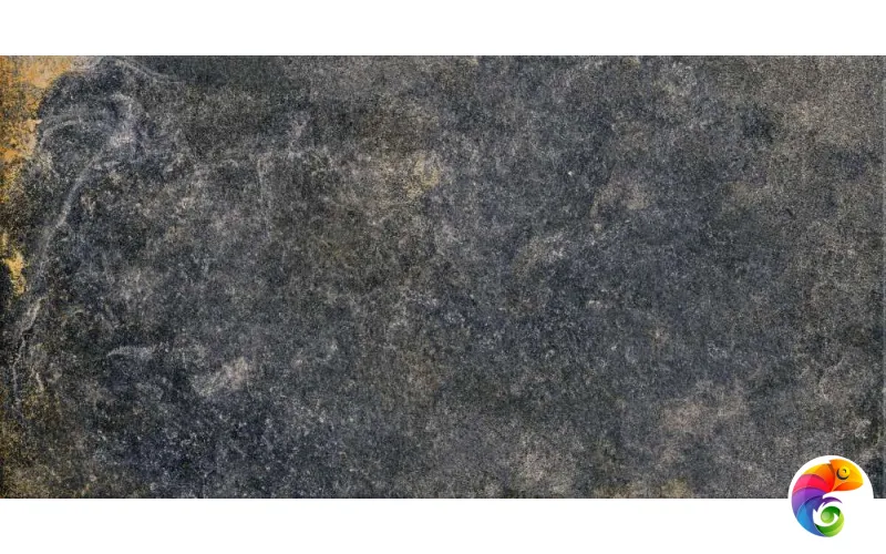Iconic Oxido 60x120