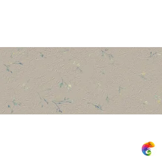 fTFD True Color Wind Flower 50x120 RT