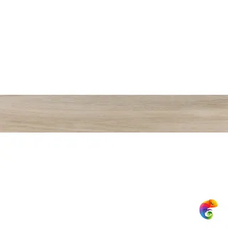 Rainier Arena 20x120 (44уп)