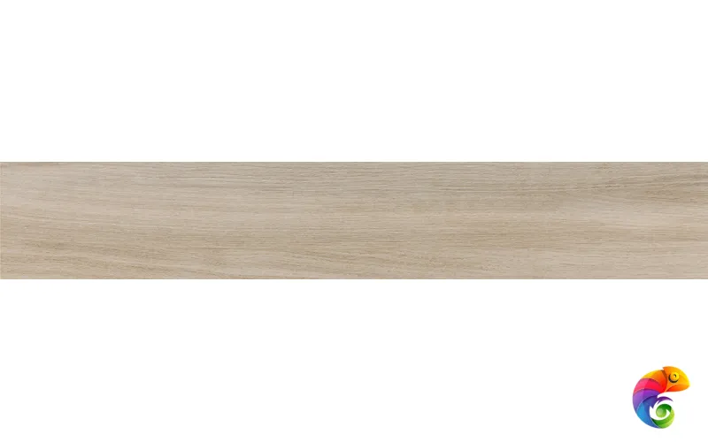 Rainier Arena 20x120 (44уп)