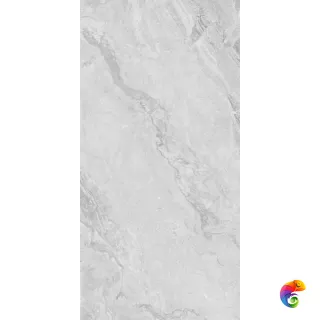 230101 Light Grey Polished 60x120
