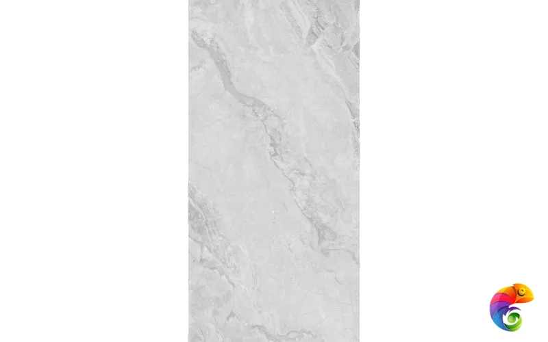 230101 Light Grey Polished 60x120