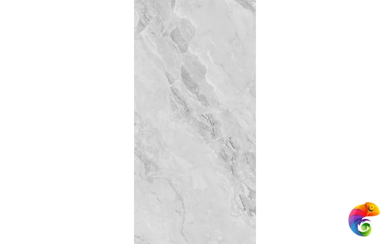 230101 Light Grey Polished 60x120