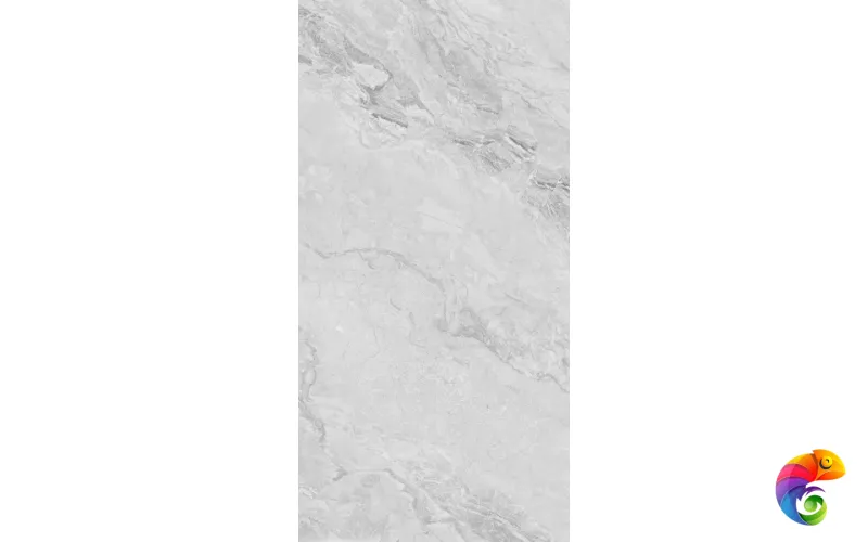 230101 Light Grey Polished 60x120
