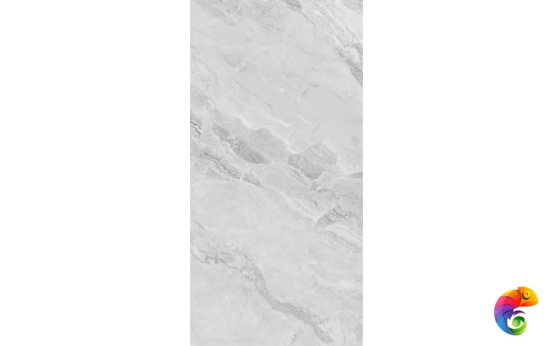 230101 Light Grey Polished 60x120