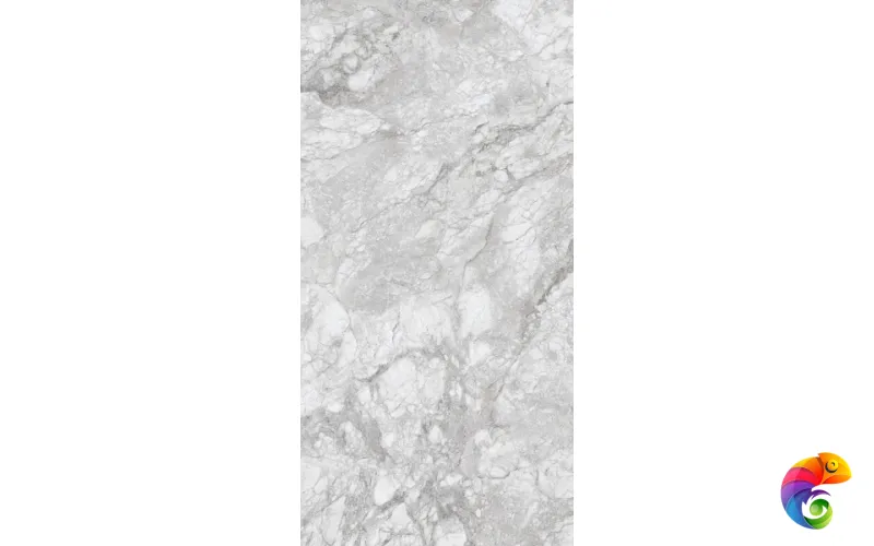 230167 Polar Grey Polished 60x120