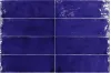 30681 Fango Cobalt Gloss 5х15