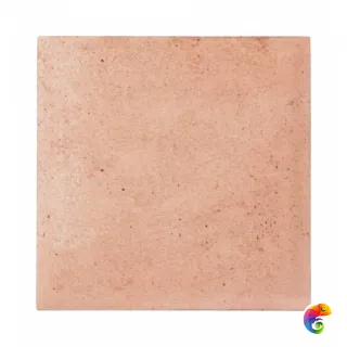 30819 Raku Nude 10х10