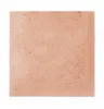 30819 Raku Nude 10х10
