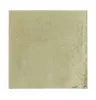 30820 Raku Sage 10х10