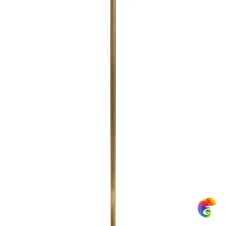 4D Profile Gold Rose 2x80