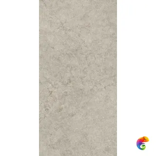 610010003142 Саленто Грэй 60X120 Рет