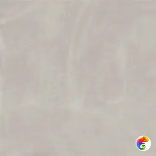 600010002381 Континуум Сильвер 120X120 Рет
