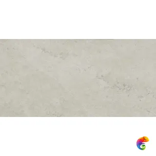 610010002628 Метрополис Абсолют Сильвер 60X120