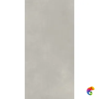 610010002679 Континуум Сильвер 60X120 Рет