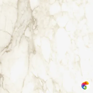 610010002748 Микеланджело Ворм 60X60 Рет