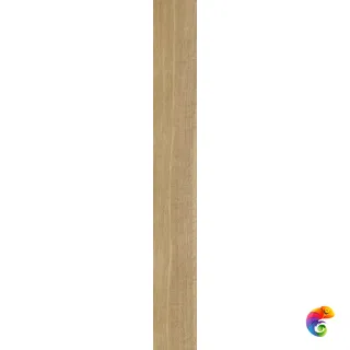 610010002770 Этернум Роверэ 20X160 Рет