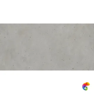610010005694 Авангард Сильвер 60X120 Рет