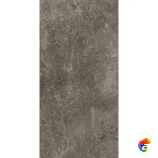 610015000423 Рум Стоун Грэй 60X120 Пат