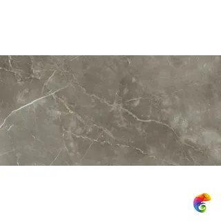 610015000681 Стелларис Тусканиа Грэй 60X120 Шлиф